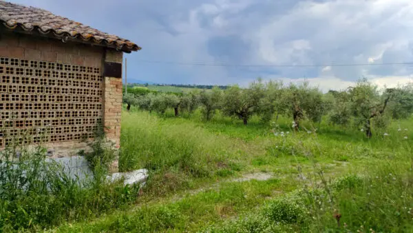 Casale via Del Poggio, Monte Castello Di Vibio