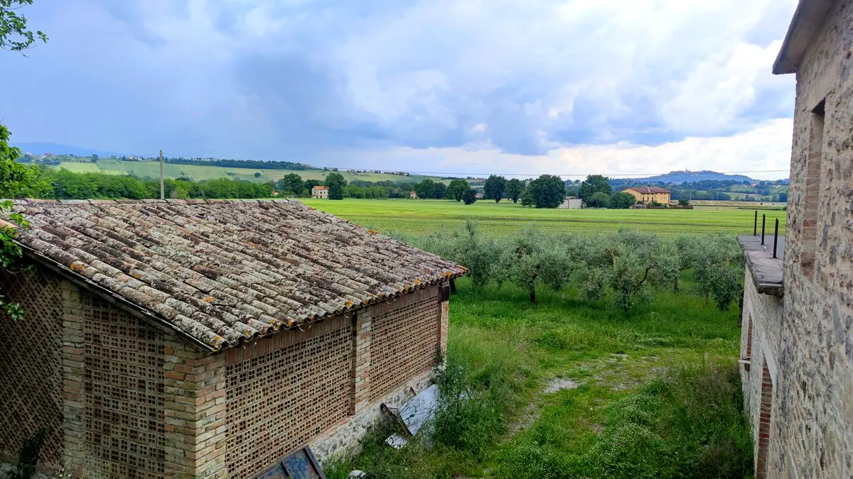 Immagine per Casale in vendita a Monte Castello di Vibio via Del Poggio