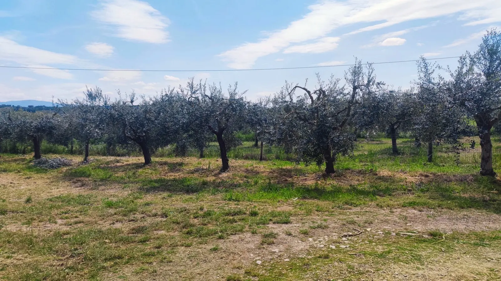 Immagine per Casale in vendita a Monte Castello di Vibio via Del Poggio