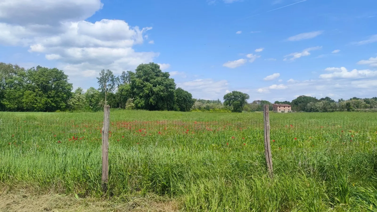 Immagine per Casale in vendita a Monte Castello di Vibio via Del Poggio