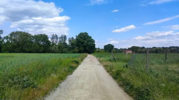 Casale via Del Poggio, Monte Castello Di Vibio