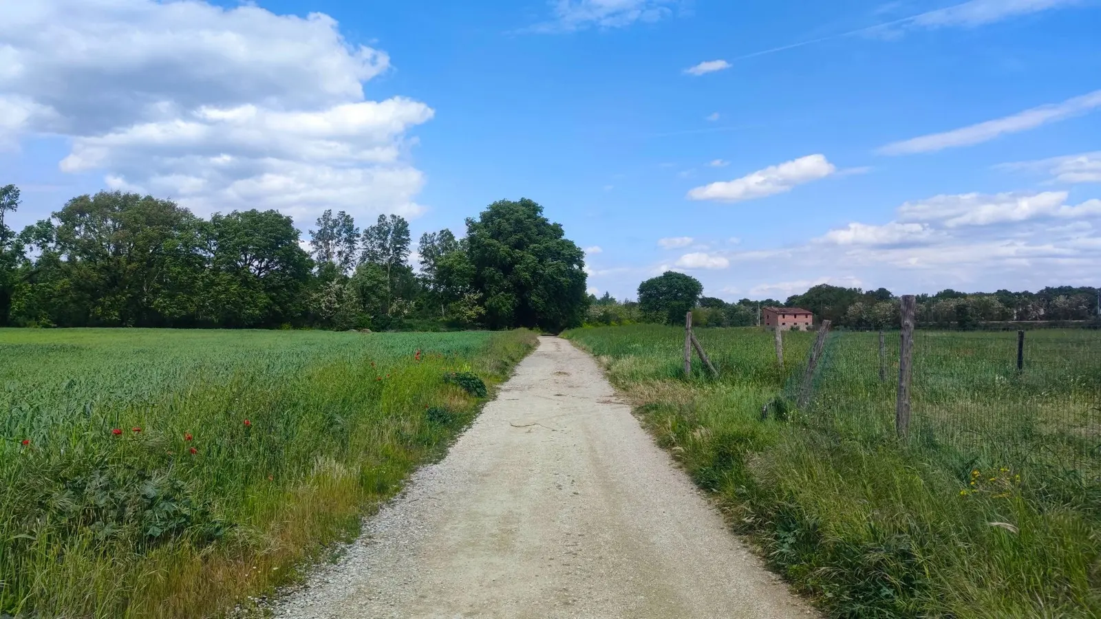 Immagine per Casale in vendita a Monte Castello di Vibio via Del Poggio