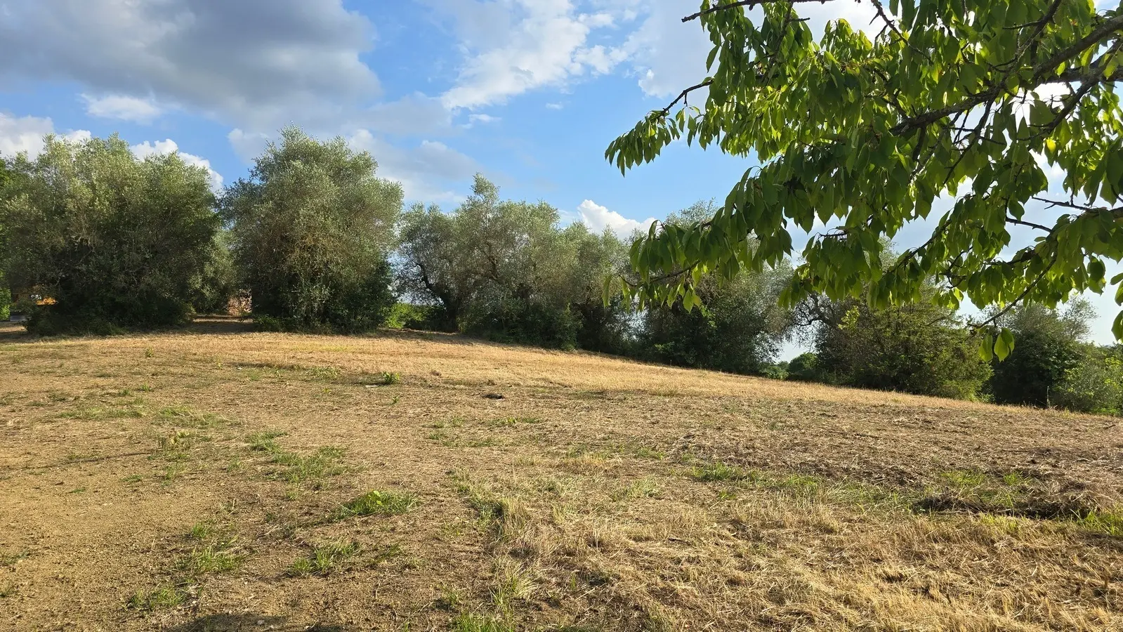 Immagine per Casale in vendita a Baschi via Orvieto 1