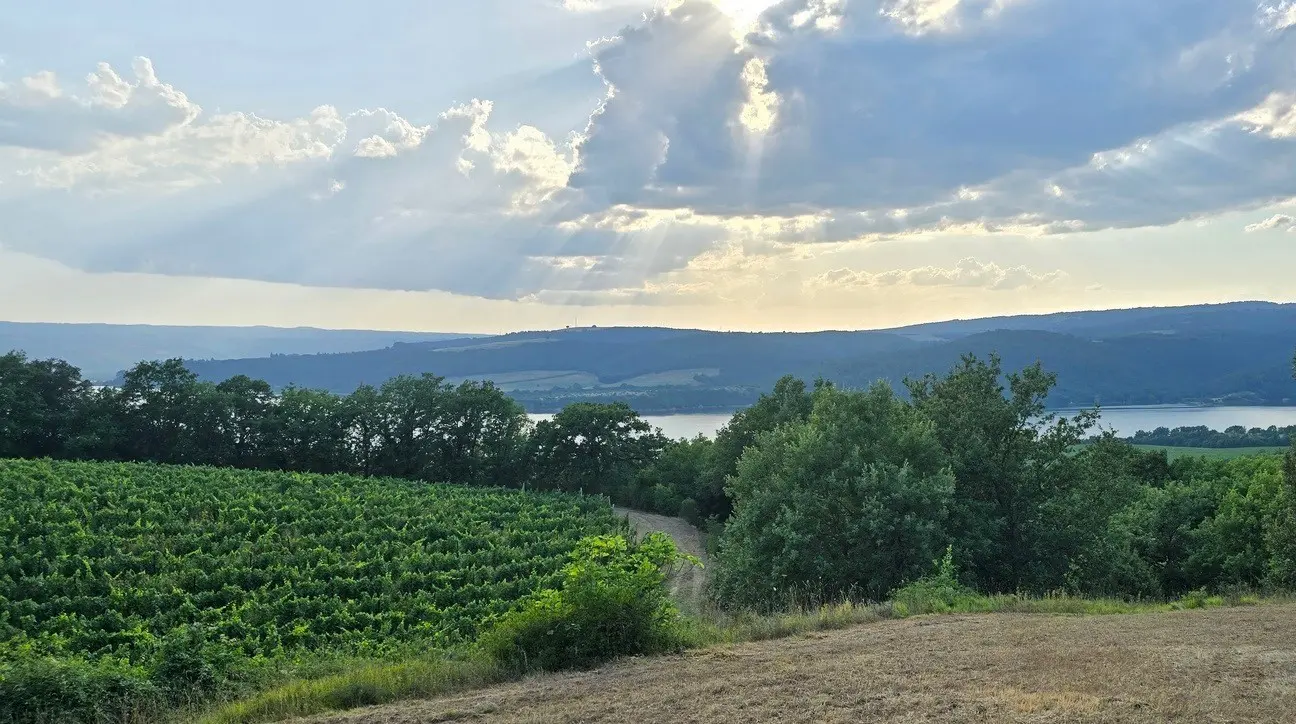 Immagine per Casale in vendita a Baschi via Orvieto 1