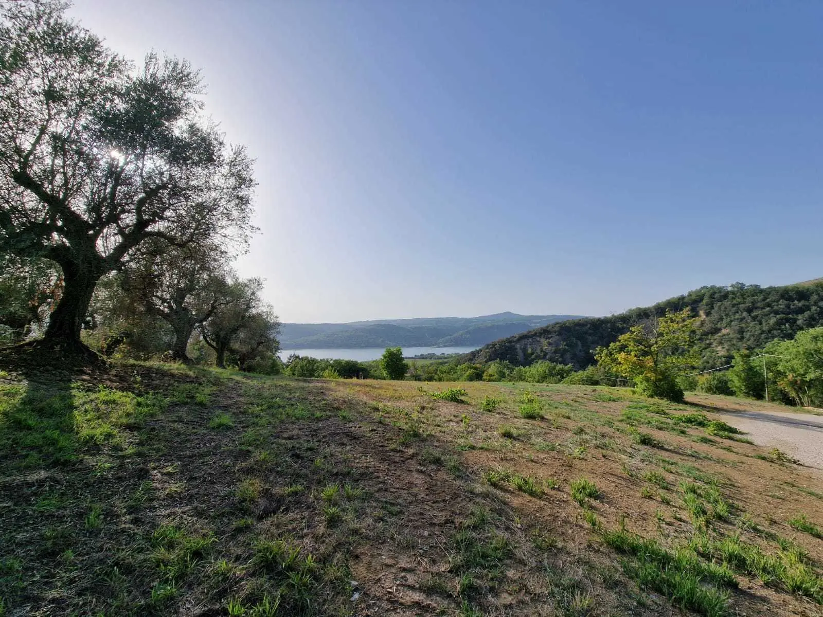Immagine per Casale in vendita a Baschi via Orvieto 1