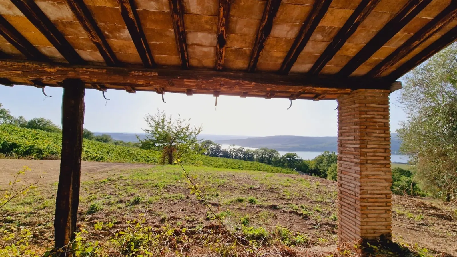 Immagine per Casale in vendita a Baschi via Orvieto 1
