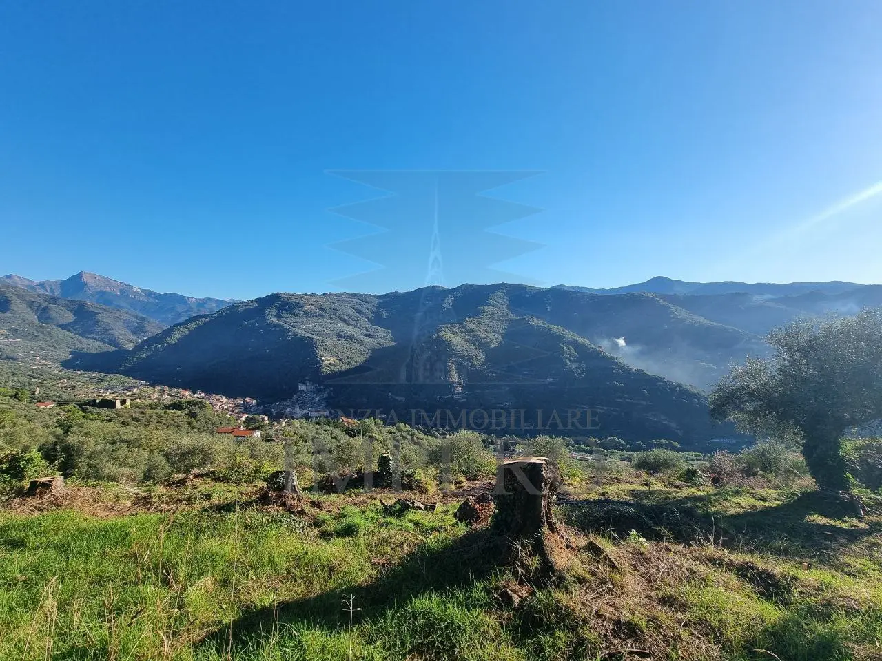 Immagine per Area verde in vendita a Dolceacqua via Tornatore Monsignore B 6
