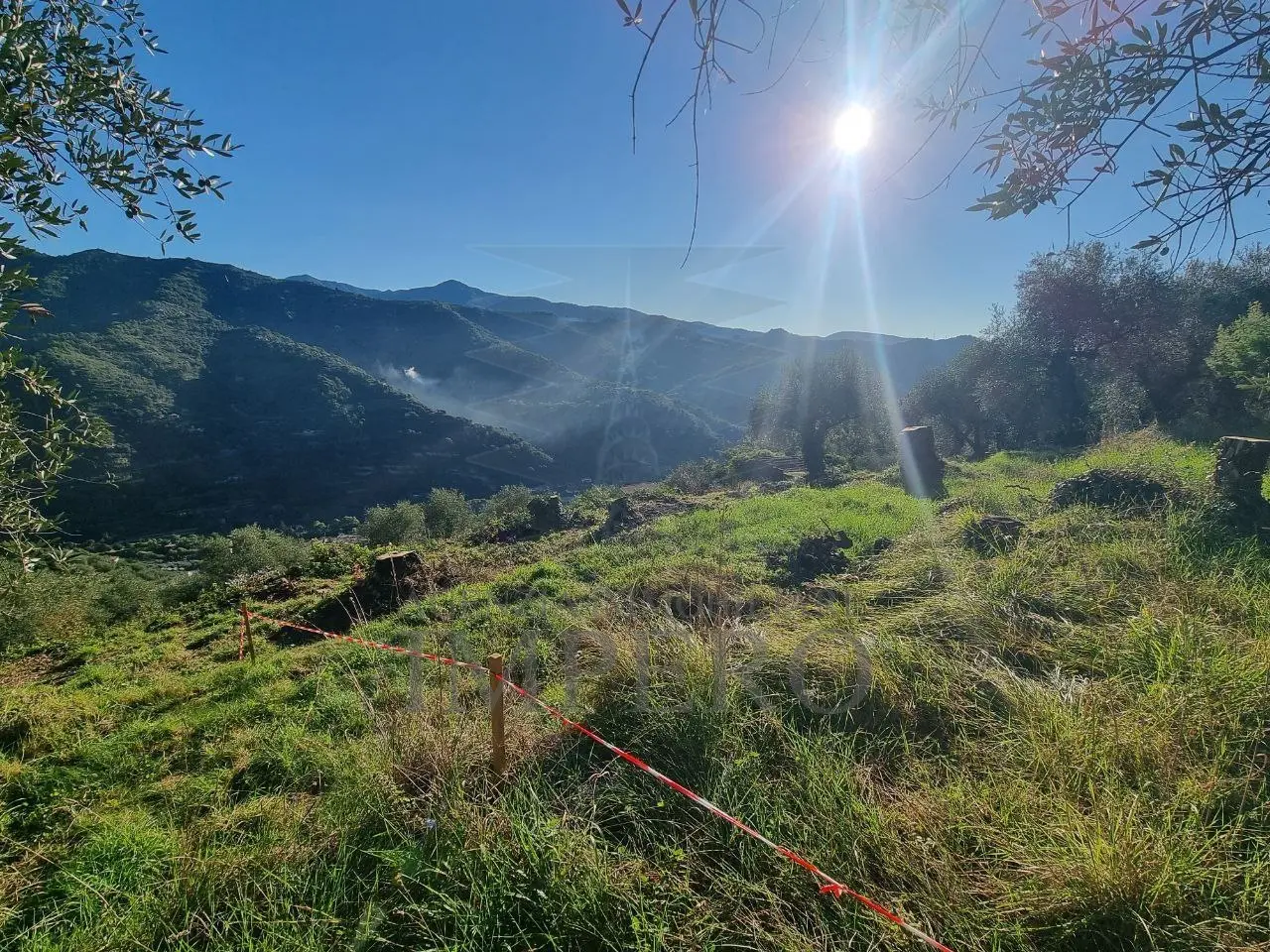 Immagine per Area verde in vendita a Dolceacqua via Tornatore Monsignore B 6