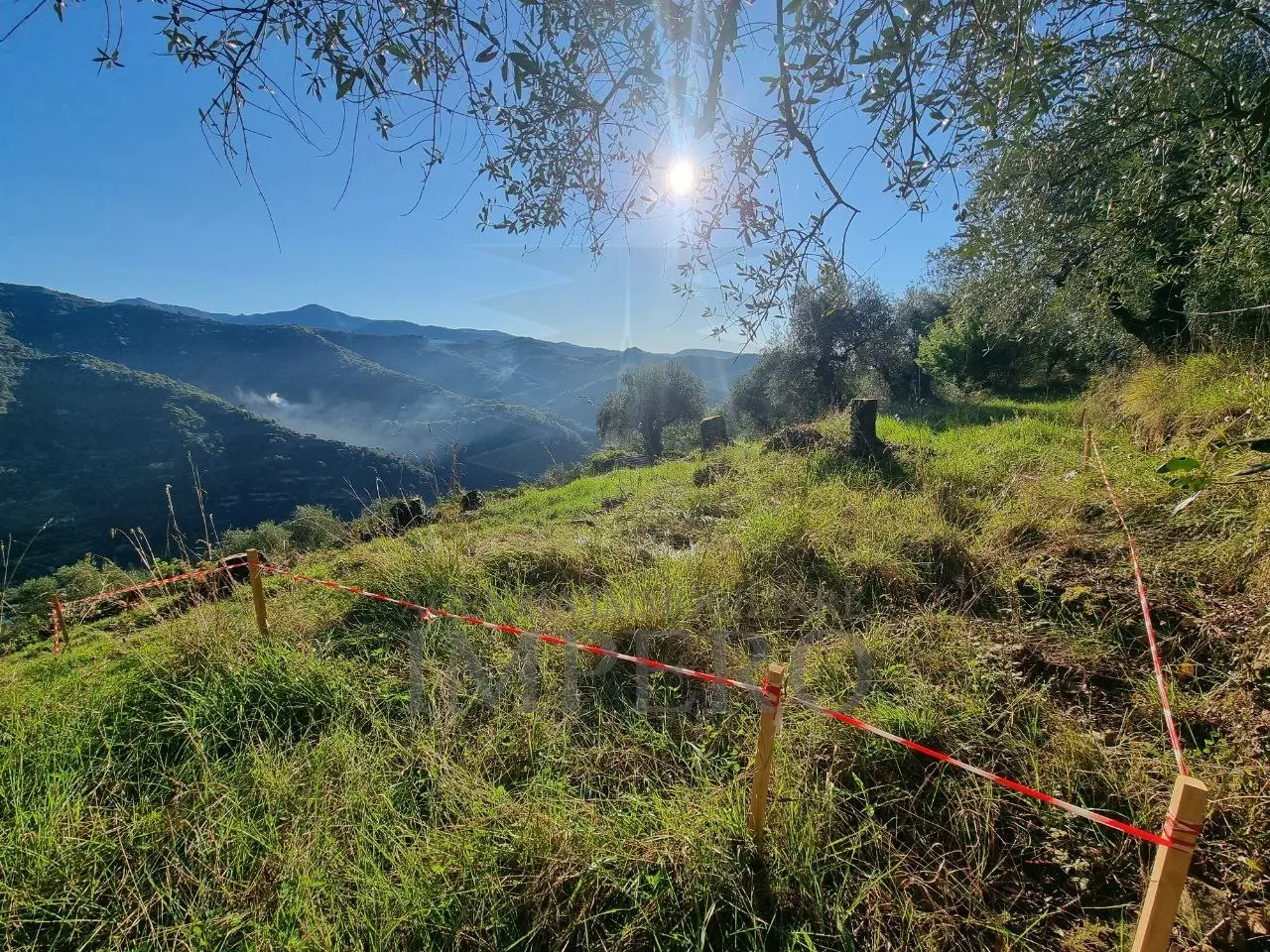 Immagine per Area verde in vendita a Dolceacqua via Tornatore Monsignore B 6