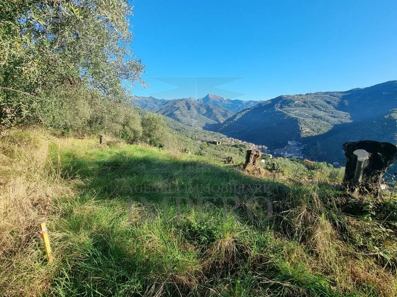 Immagine per Area verde in vendita a Dolceacqua via Tornatore Monsignore B 6