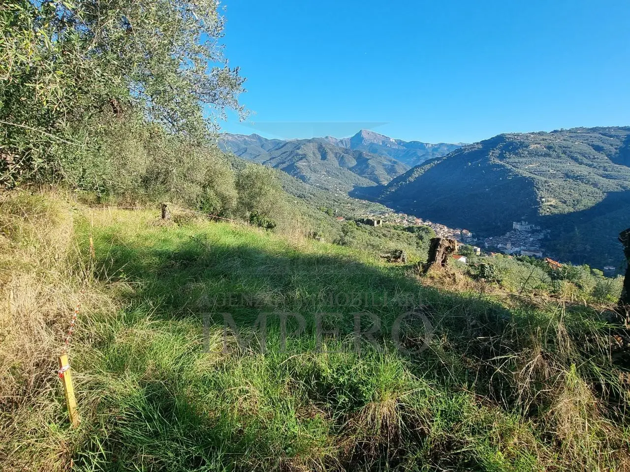 Immagine per Area verde in vendita a Dolceacqua via Tornatore Monsignore B 6