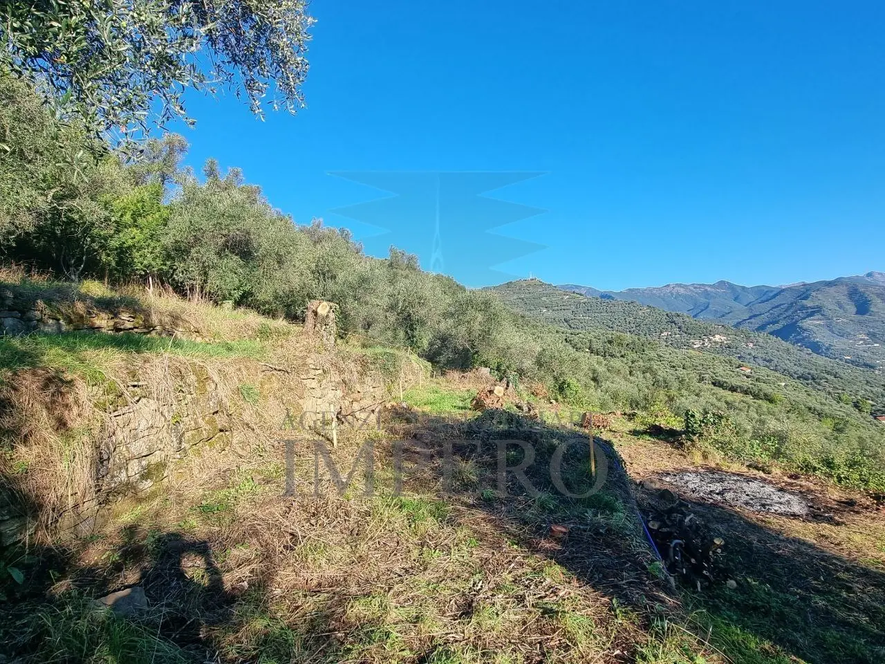 Immagine per Area verde in vendita a Dolceacqua via Tornatore Monsignore B 6