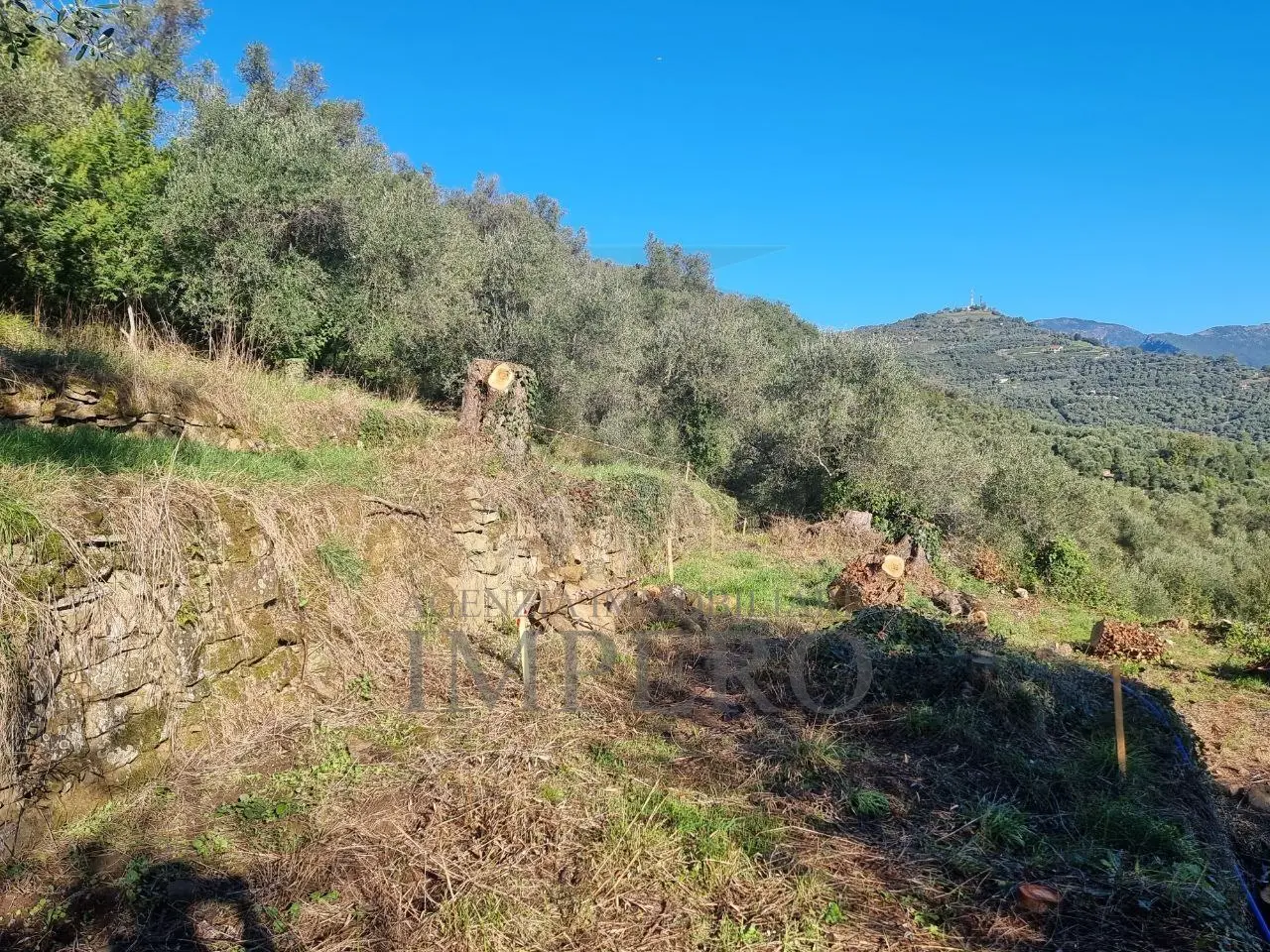 Immagine per Area verde in vendita a Dolceacqua via Tornatore Monsignore B 6