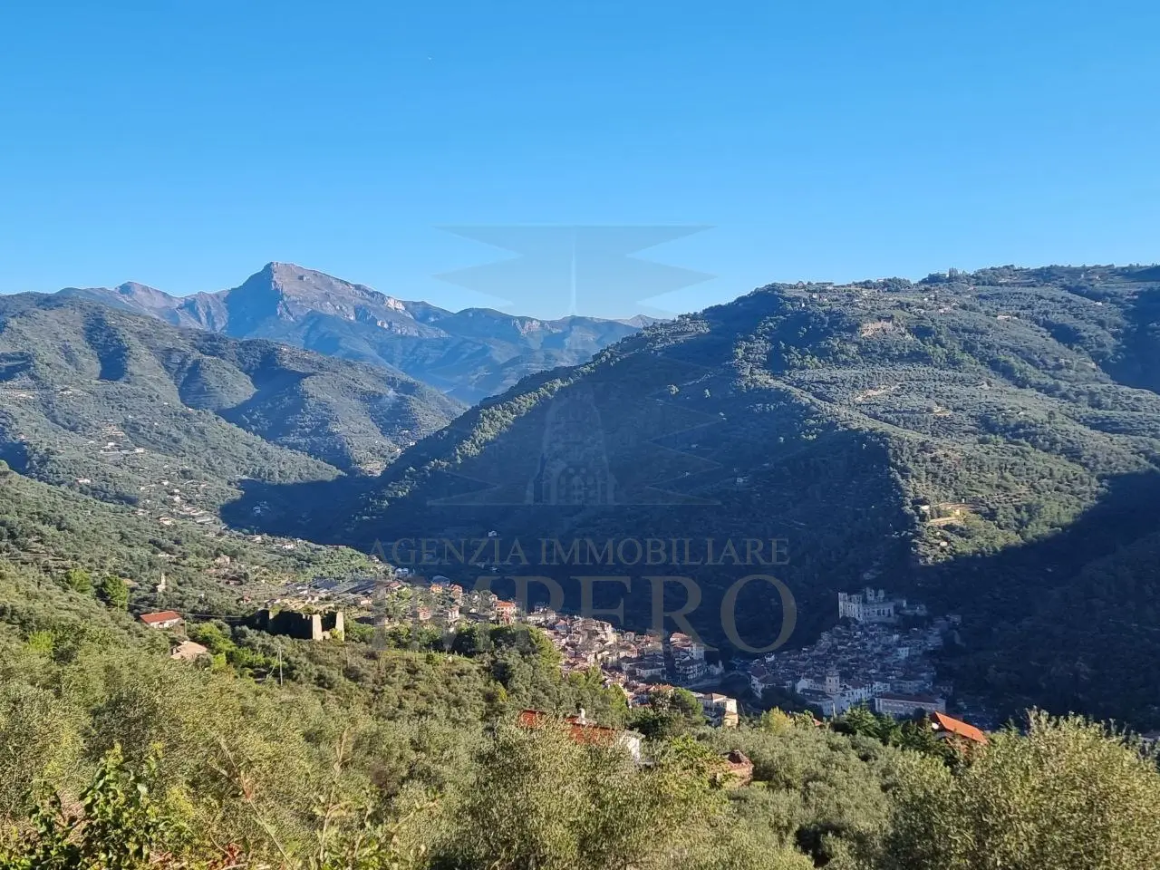 Immagine per Area verde in vendita a Dolceacqua via Tornatore Monsignore B 6