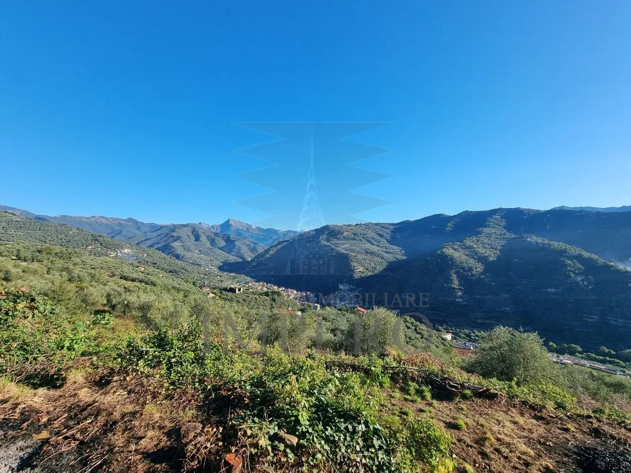 Immagine per Area verde in vendita a Dolceacqua via Tornatore Monsignore B 6