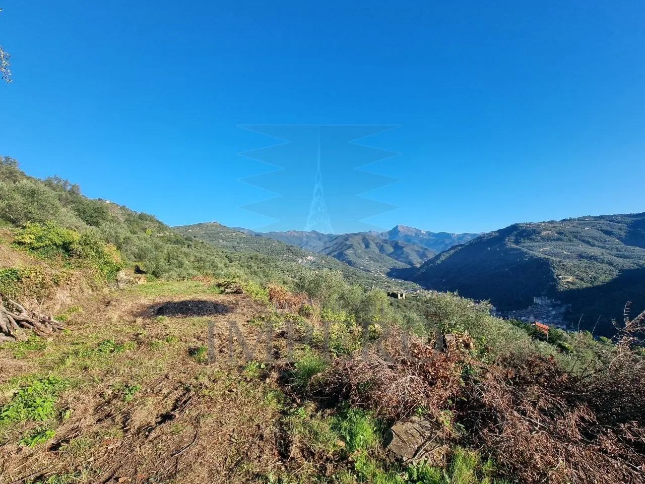Immagine per Area verde in vendita a Dolceacqua via Tornatore Monsignore B 6