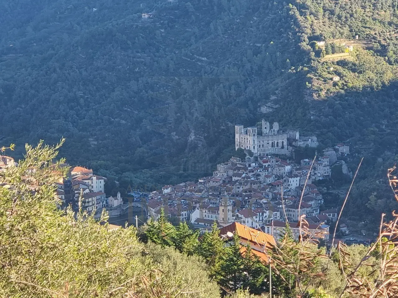 Immagine per Area verde in vendita a Dolceacqua via Tornatore Monsignore B 6