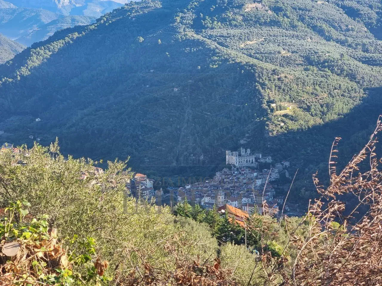 Immagine per Area verde in vendita a Dolceacqua via Tornatore Monsignore B 6