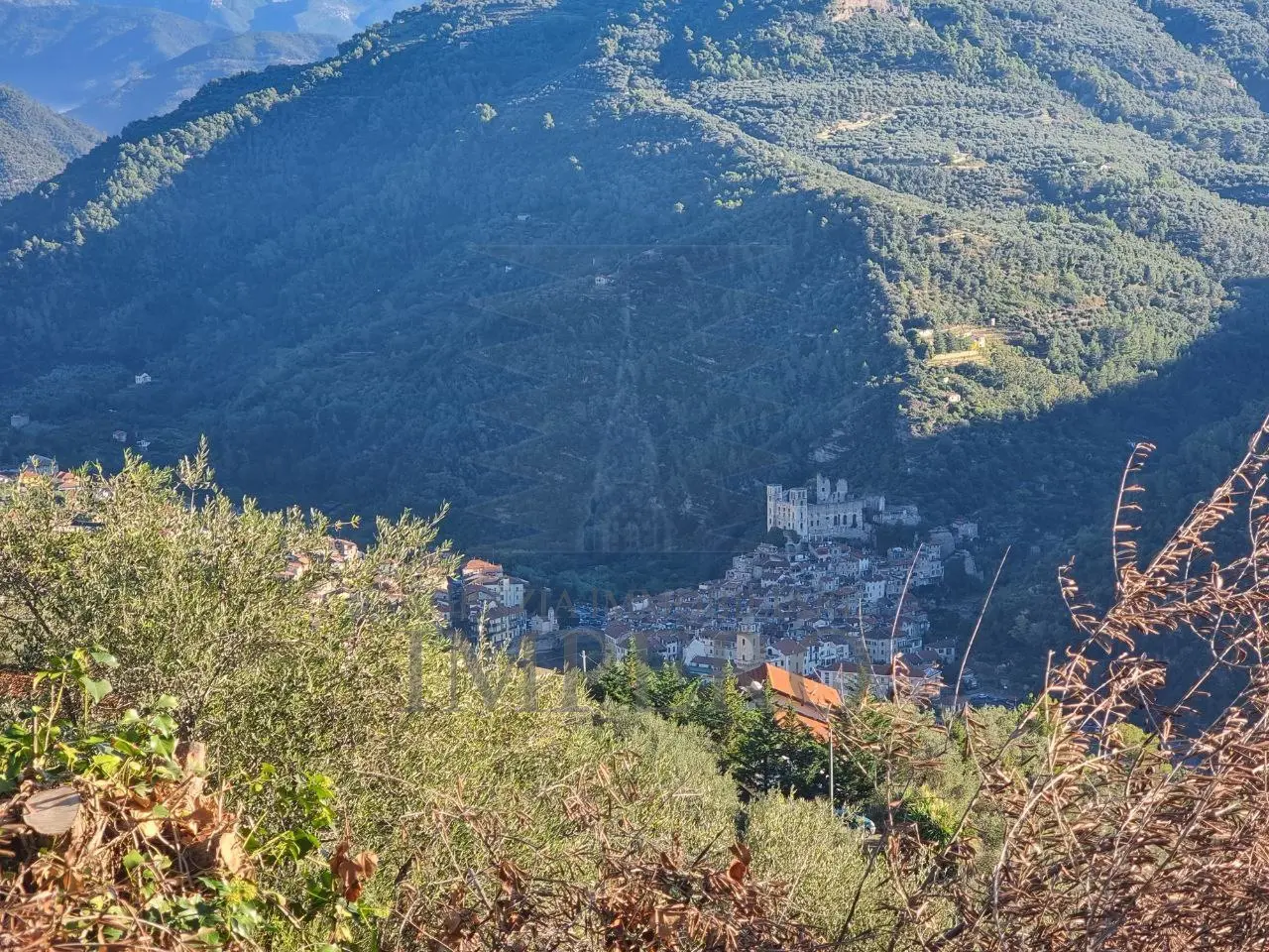 Immagine per Area verde in vendita a Dolceacqua via Tornatore Monsignore B 6