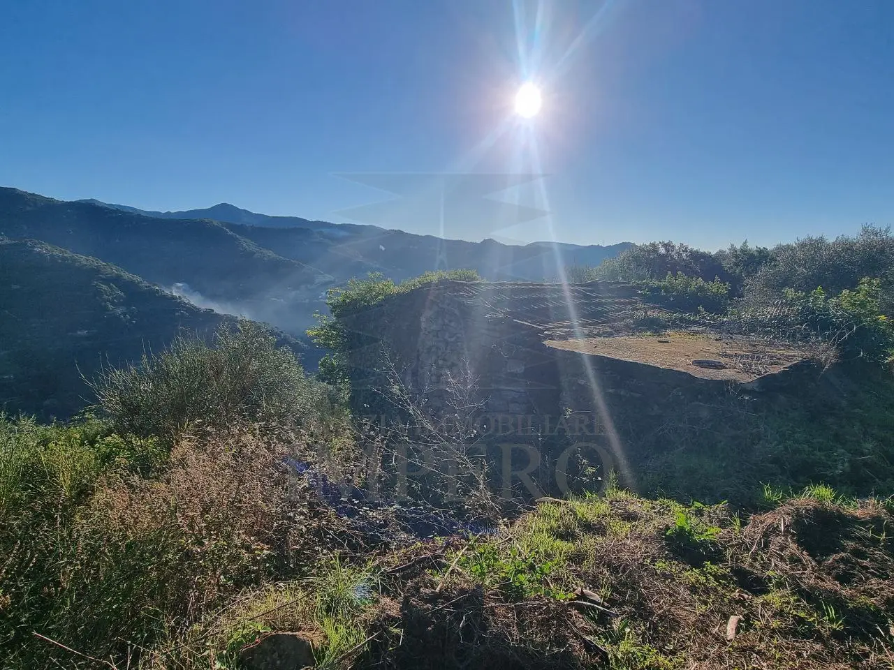 Immagine per Area verde in vendita a Dolceacqua via Tornatore Monsignore B 6
