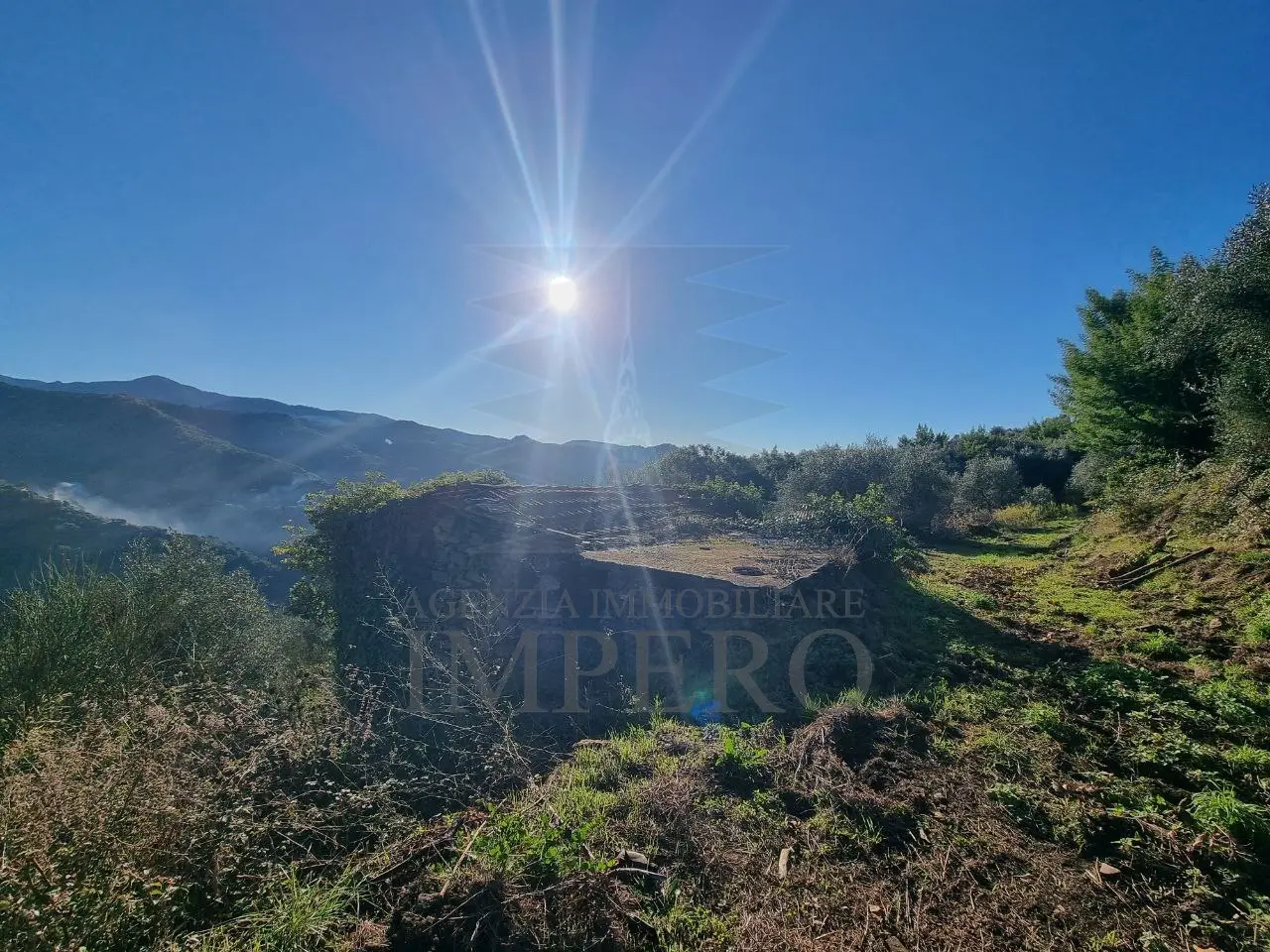 Immagine per Area verde in vendita a Dolceacqua via Tornatore Monsignore B 6