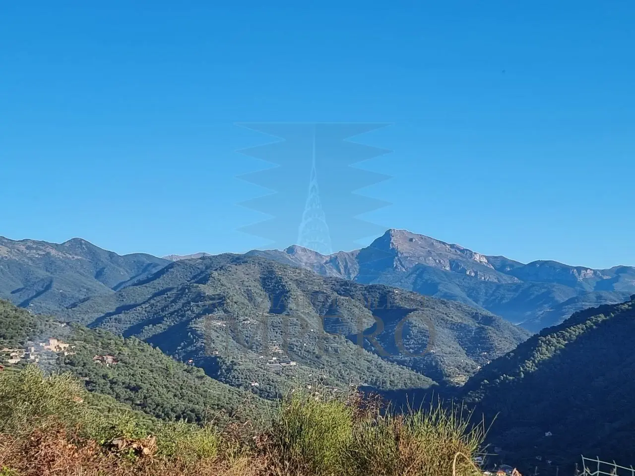 Immagine per Area verde in vendita a Dolceacqua via Tornatore Monsignore B 6