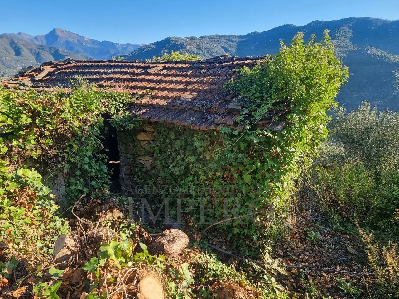 Immagine per Area verde in vendita a Dolceacqua via Tornatore Monsignore B 6