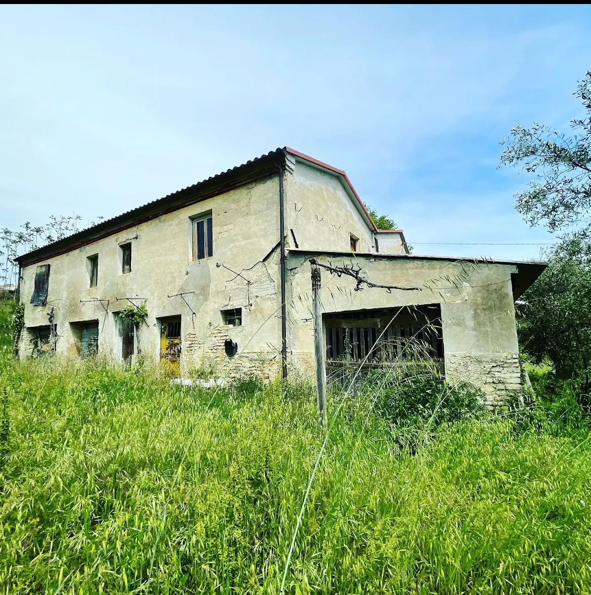 Immagine per Rustico in vendita a Ancona via Offagna