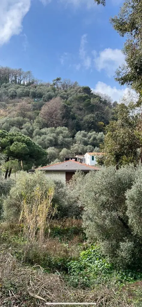 Immagine per Villa in vendita a Portovenere via Cavour 42