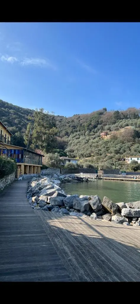 Immagine per Villa in vendita a Portovenere via Cavour 42