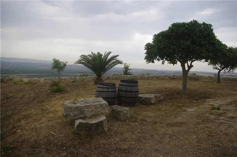 Immagine per Villa in vendita a Noto
