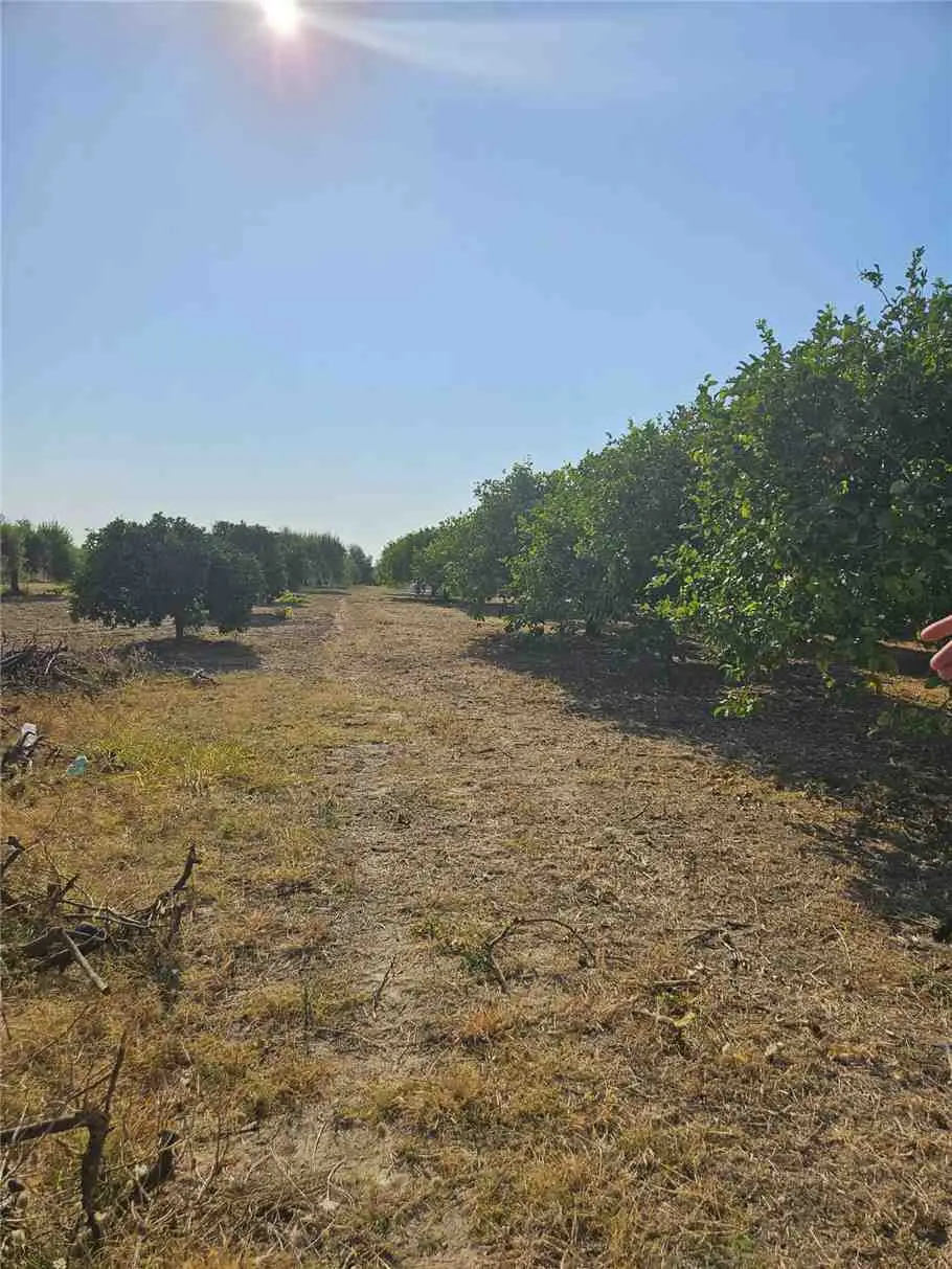 Immagine per Casa indipendente in vendita a Noto