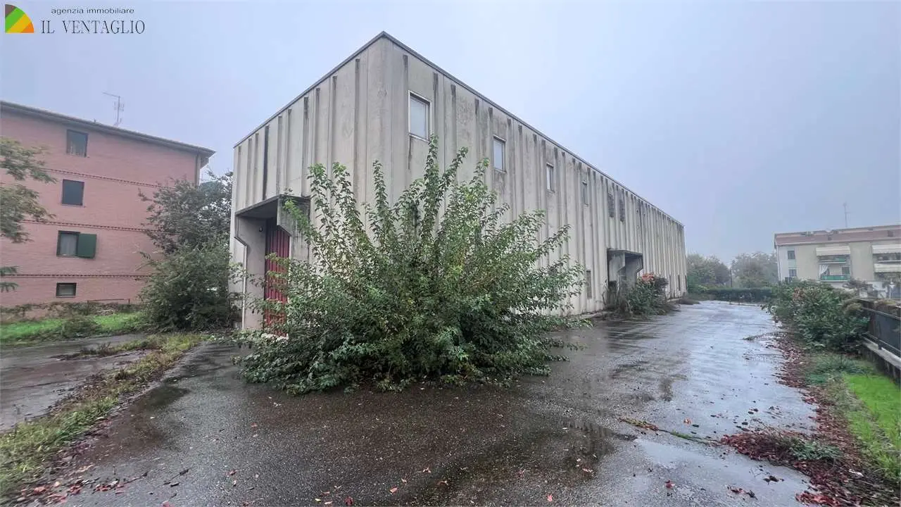 Immagine per Capannone in vendita a Fiorano Modenese