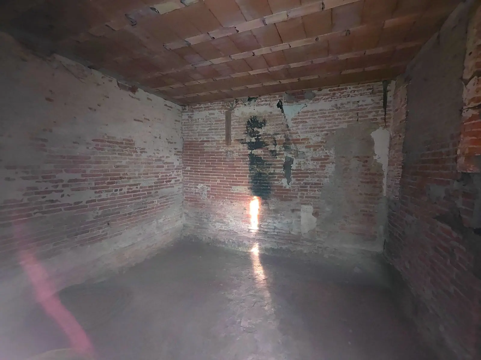 Immagine per Rustico in vendita a Santa Croce sull'Arno via Dei Confini