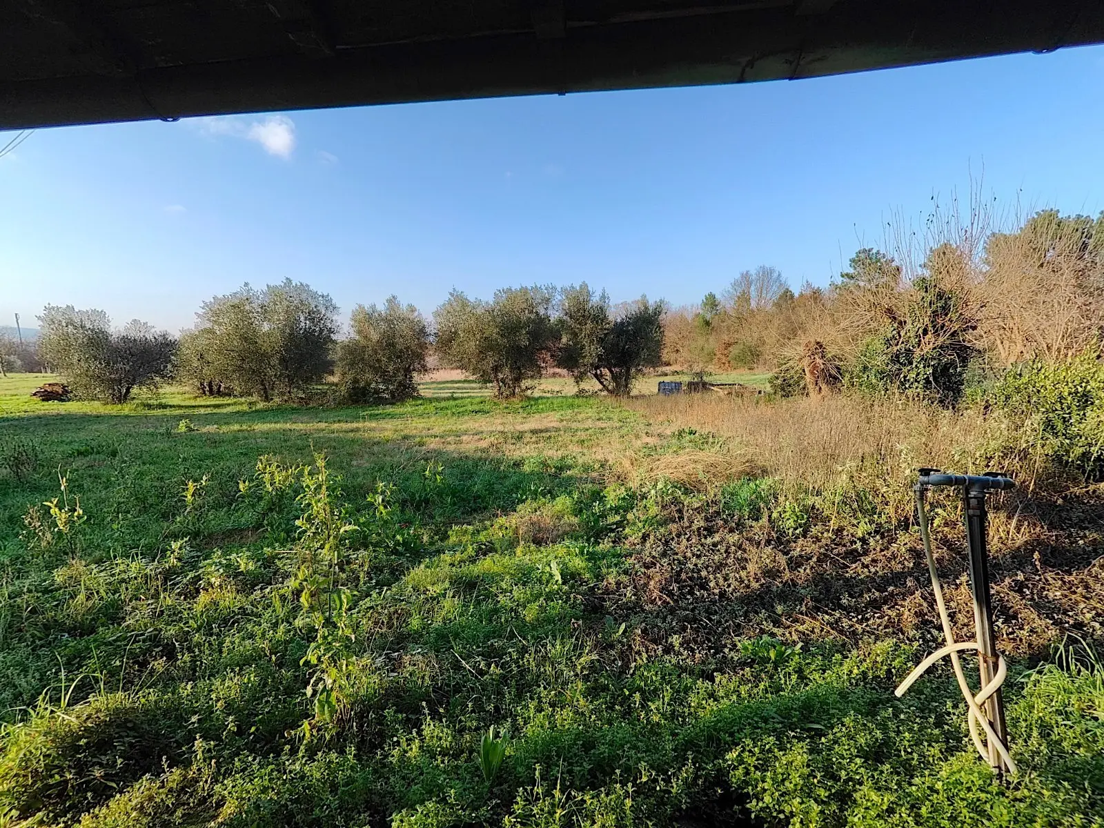 Immagine per Rustico in vendita a Santa Croce sull'Arno via Dei Confini