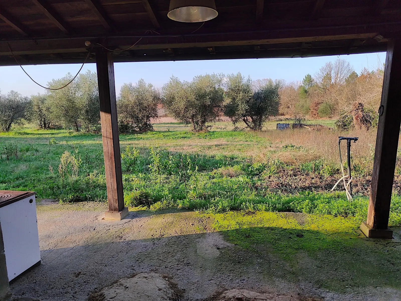 Immagine per Rustico in vendita a Santa Croce sull'Arno via Dei Confini