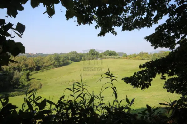 Azienda Agricola via Tofori, Capannori