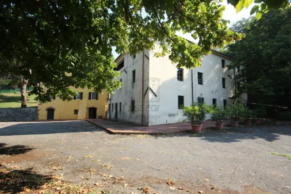Azienda Agricola via Tofori, Capannori