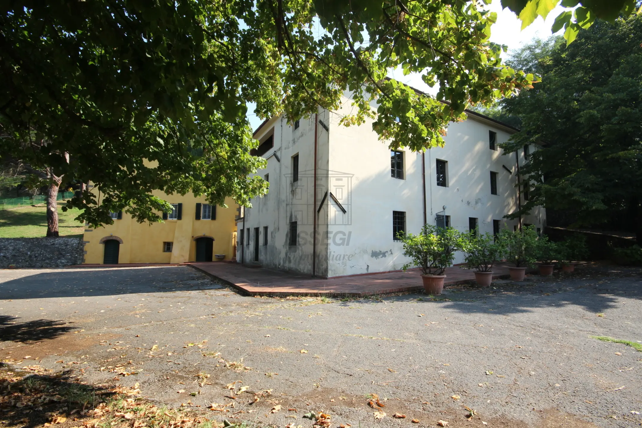 Immagine per Azienda agricola in vendita a Capannori via Tofori