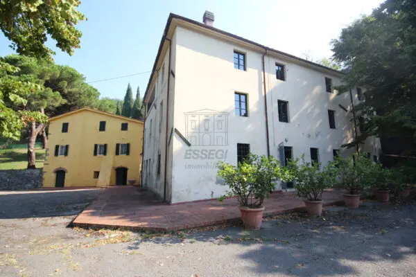 Azienda Agricola via Tofori, Capannori