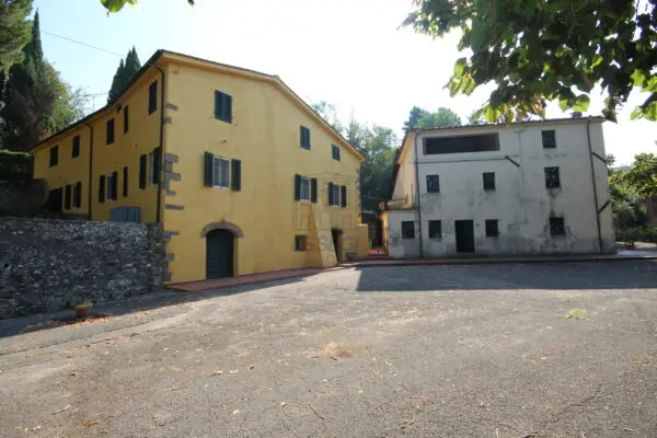 Azienda Agricola via Tofori, Capannori