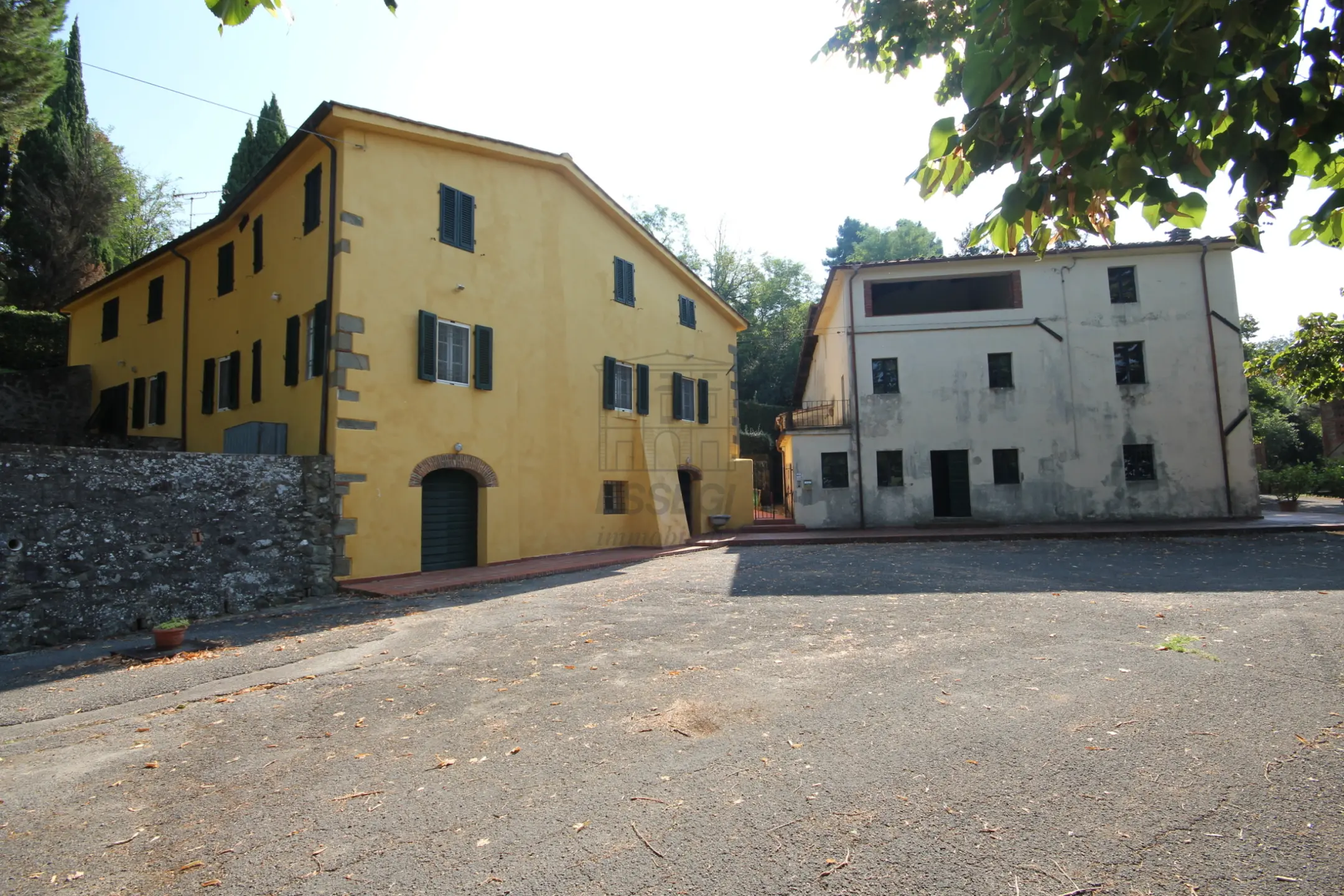 Immagine per Azienda agricola in vendita a Capannori via Tofori