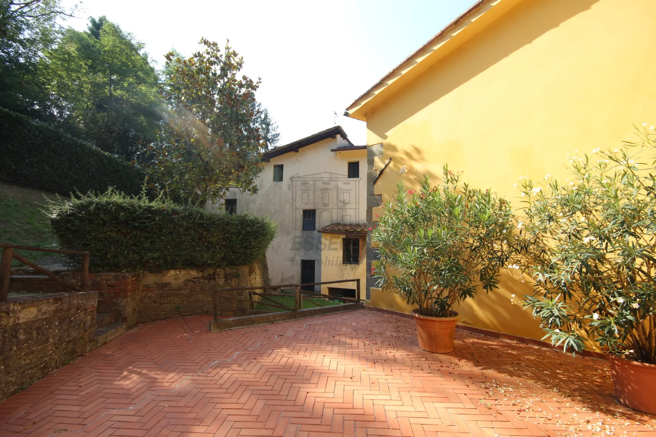 Immagine per Azienda agricola in vendita a Capannori via Tofori