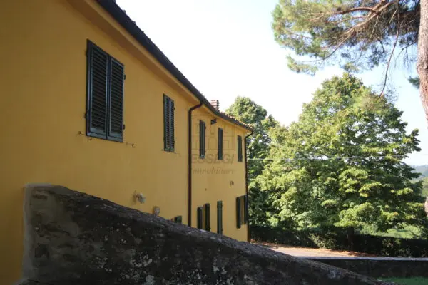 Azienda Agricola via Tofori, Capannori