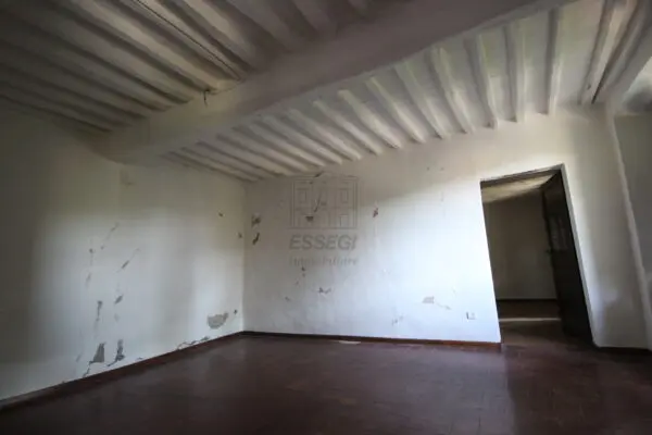 Azienda Agricola via Tofori, Capannori