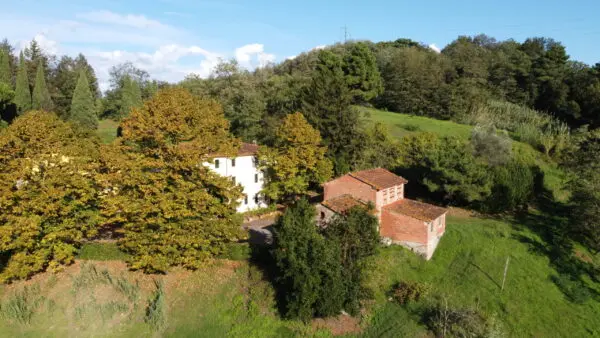 Azienda Agricola via Tofori, Capannori