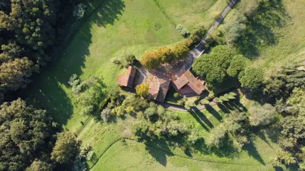 Azienda Agricola via Tofori, Capannori