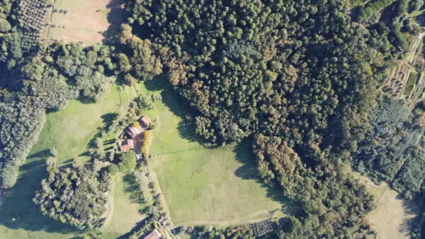 Azienda Agricola via Tofori, Capannori