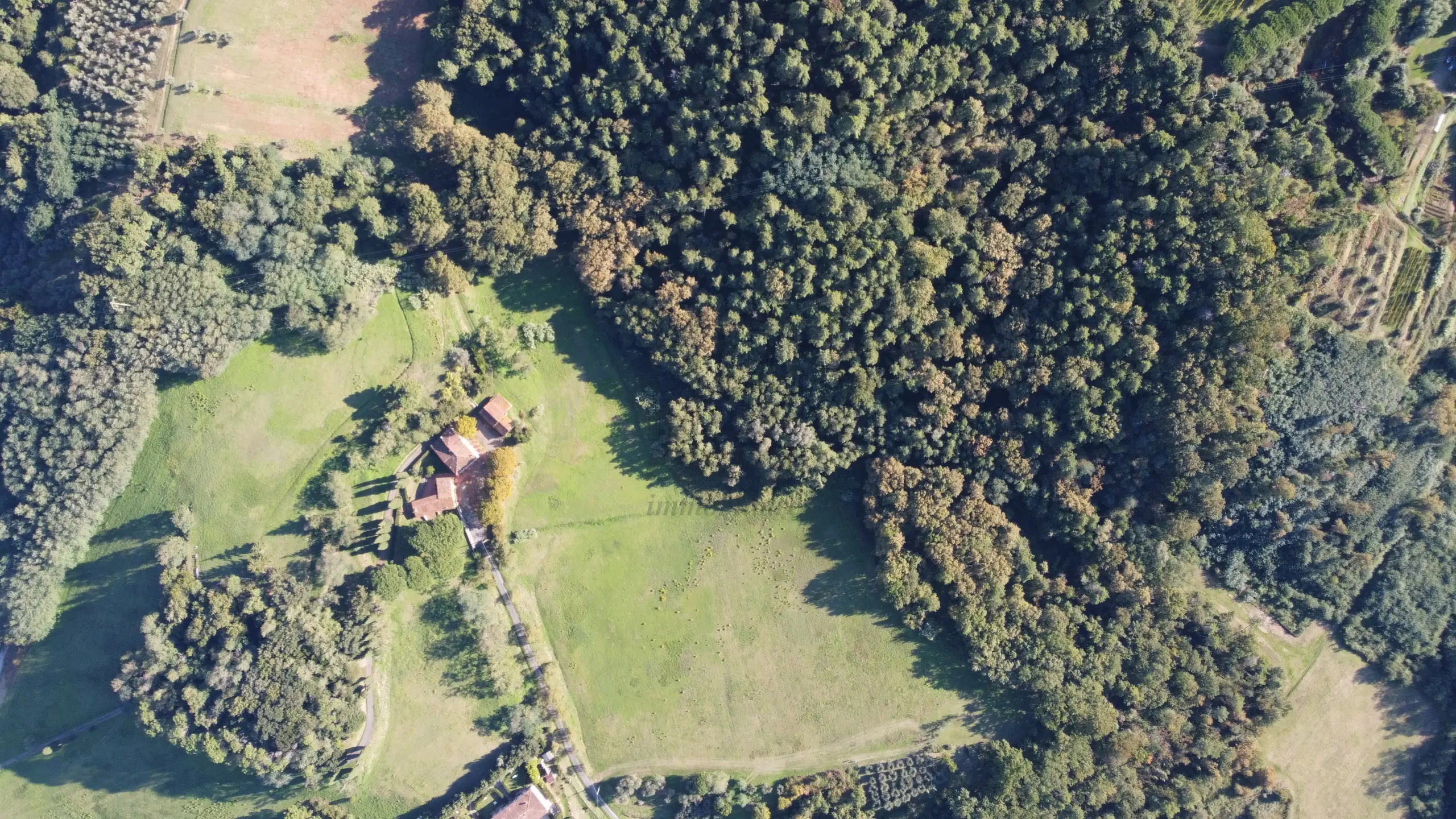 Immagine per Azienda agricola in vendita a Capannori via Tofori