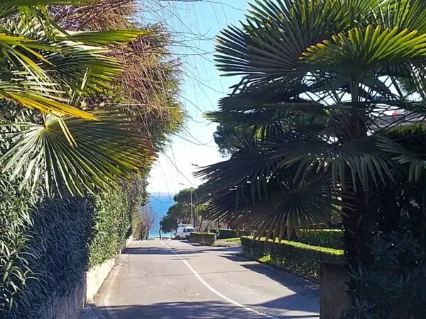 Immagine per Appartamento in vendita a Desenzano del Garda via Lungolago Cesare Battisti